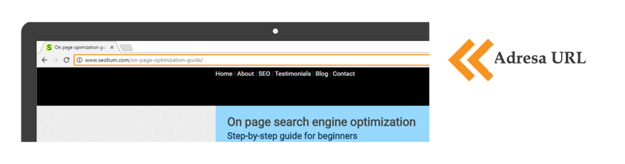 Reguli De Optimizare Internă On Page Seo A Site Urilor In 2020